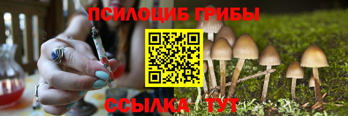 Галлюциногенные грибы MAGIC MUSHROOMS  Галлюциногенные грибы MAGIC MUSHROOMS  Нефтекумск  Вход с VPN 
